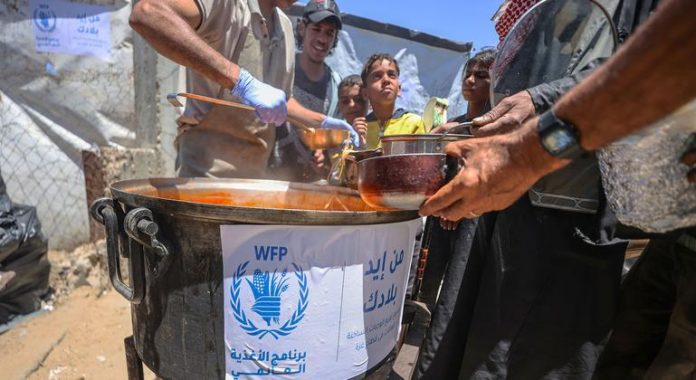 Ongoing war destroying social fabric in Gaza: Aid official